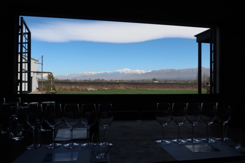 View from a winery near Mendoza