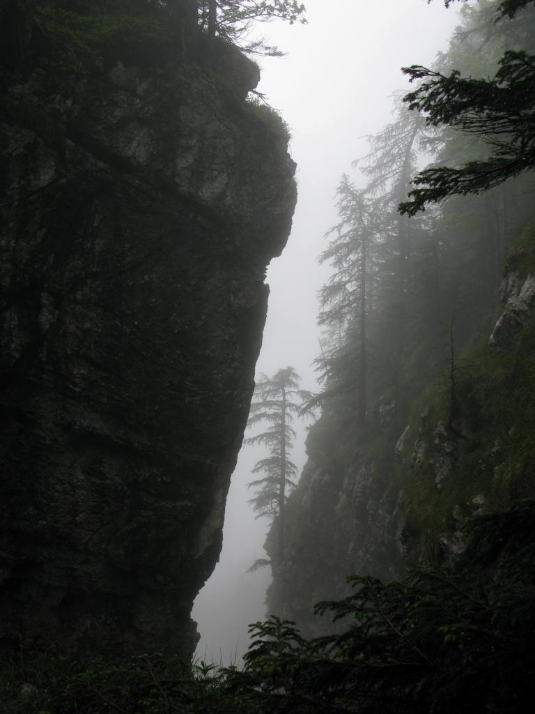 Triglav National Park