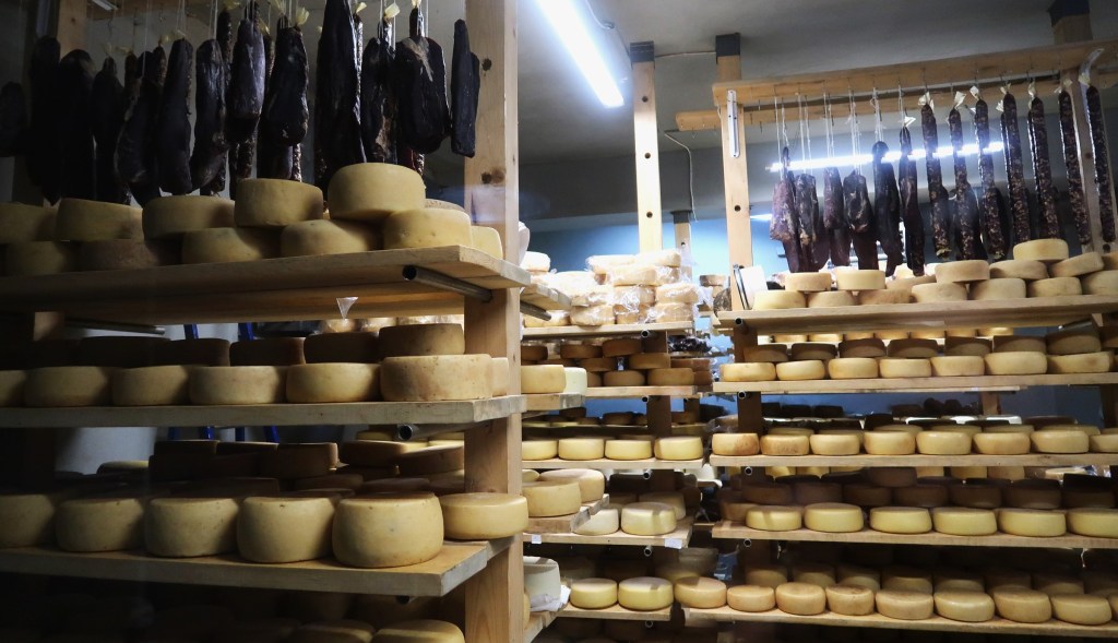 Armenia - cheese tasting