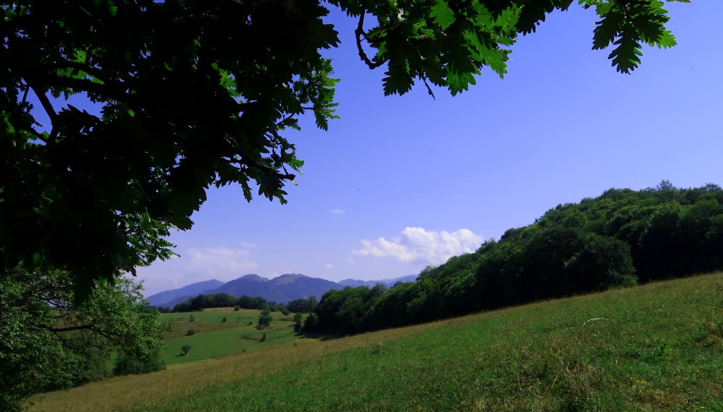 Armenia - Dilijan National Park
