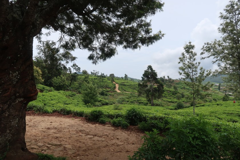 Adventure in Sri&nbsp;Lanka